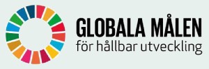 De globala målen